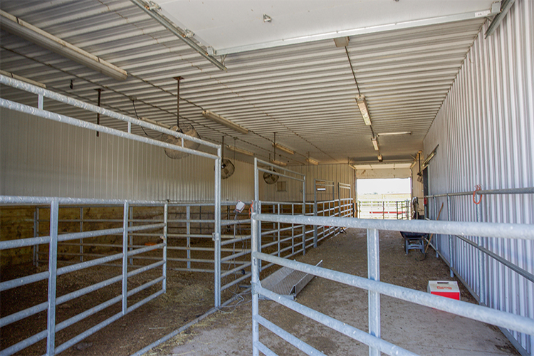 Farm Shop & Cattle Building | Jasper County, IN | FBi Buildings